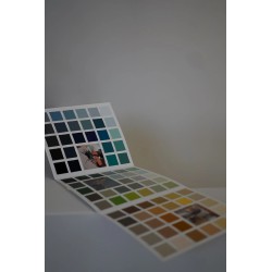 PROCHIBAT WALL ON 2024 COLOR CHART