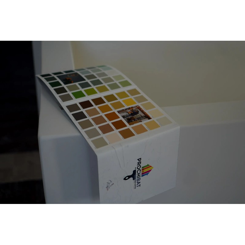 PROCHIBAT WALL ON 2024 COLOR CHART